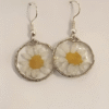 Resin Daisy Earrings